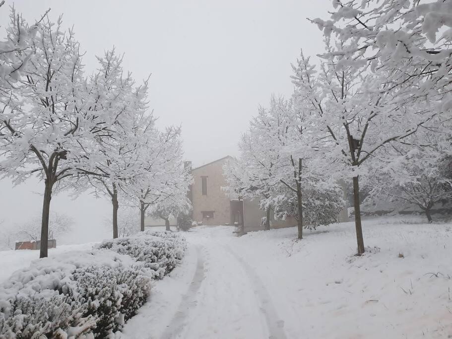 La Casetta Sulle Nuvole. Chalet *